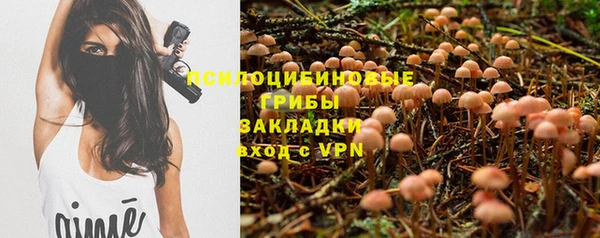 стафф Алзамай